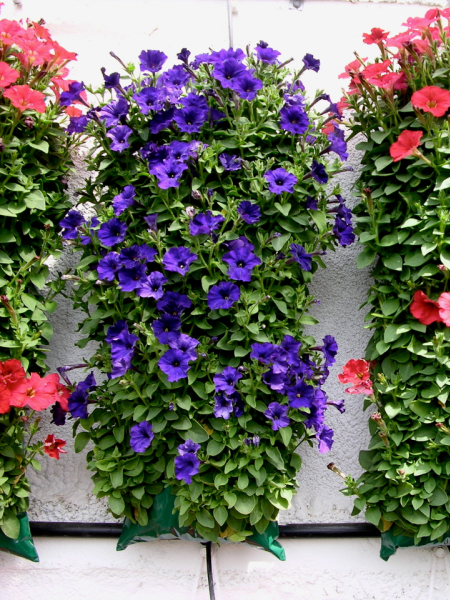 Hanging flower bags deals