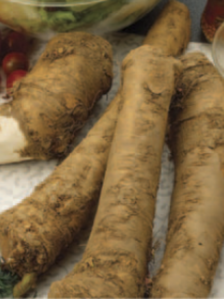 Vegetable - Horseradish