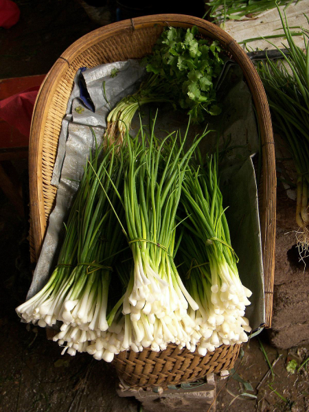 Chives Onion