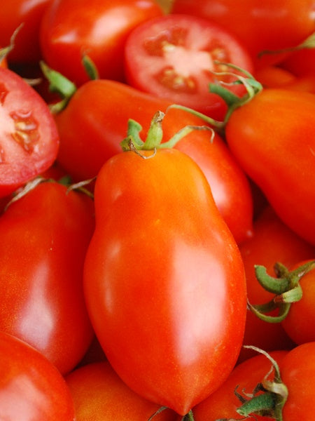 Vegetable - Tomato Roma Zenzei
