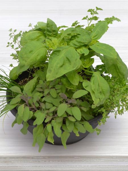 Herb - Variety Basket Country Kitchen