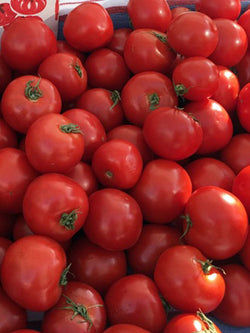 Vegetable - Tomato Early Girl