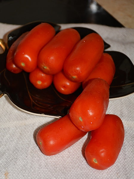 Vegetable - Tomato La Roma IV Red