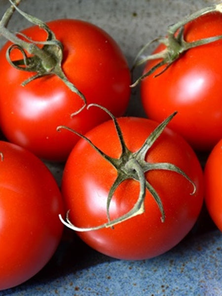 Vegetable - Tomato Patio