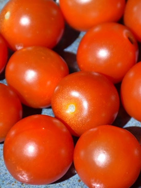 Vegetable - Tomato Super Sweet 100