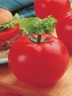 Vegetable - Tomato Big Beef