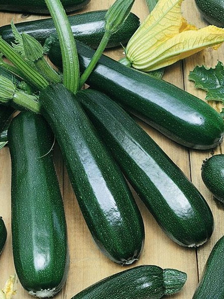 Vegetable - Squash Zucchini Paycheck