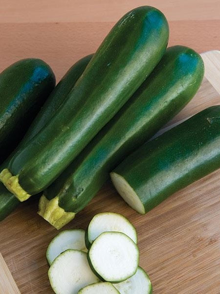 Vegetable - Squash Zucchini Paycheck